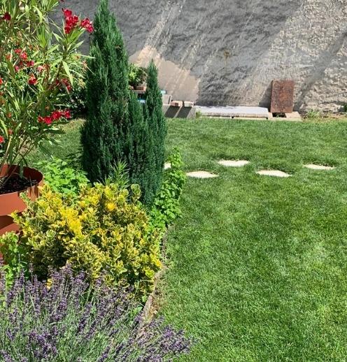 Plantation d’un gazon chez un particulier après les fortes chaleurs